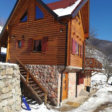Vila Jelena Crni Vrh المظهر الخارجي الصورة