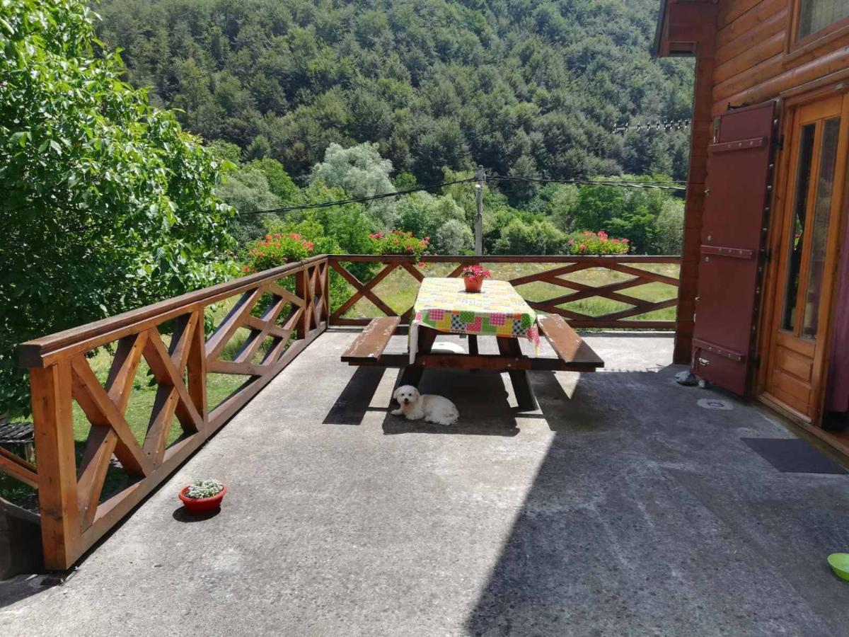 Vila Jelena Crni Vrh المظهر الخارجي الصورة